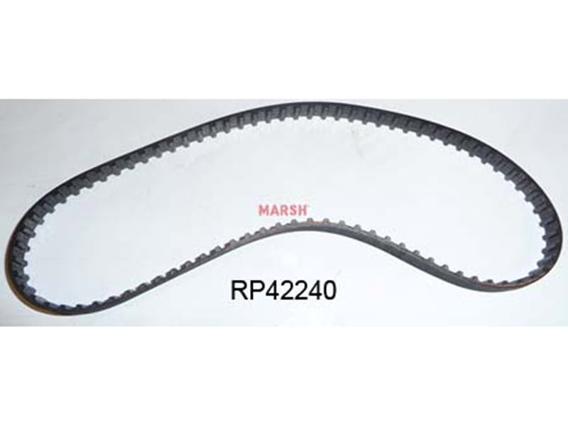 RP42240 - Timing Belt